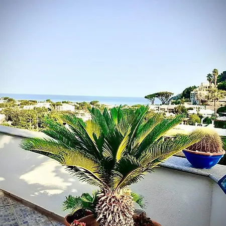 Casa Verde - Sunset - Апартаменты